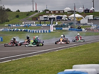 DSC 0141